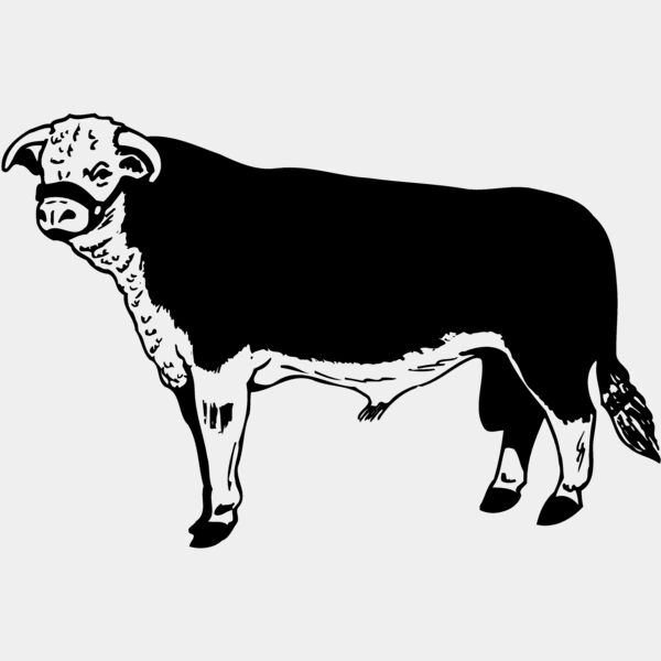 COW012 Thumbnail
