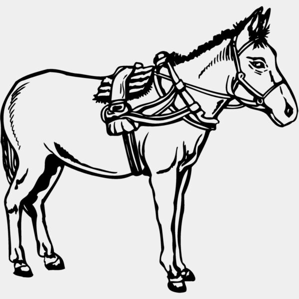 BURRO007 Thumbnail