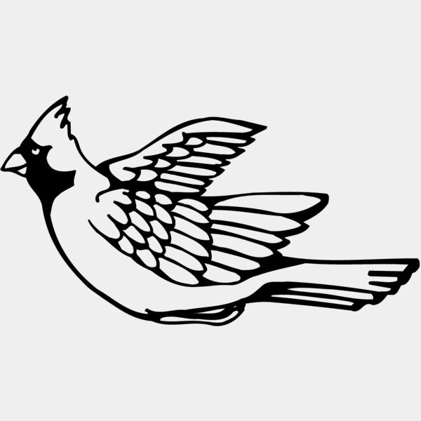 BIRD012 Thumbnail