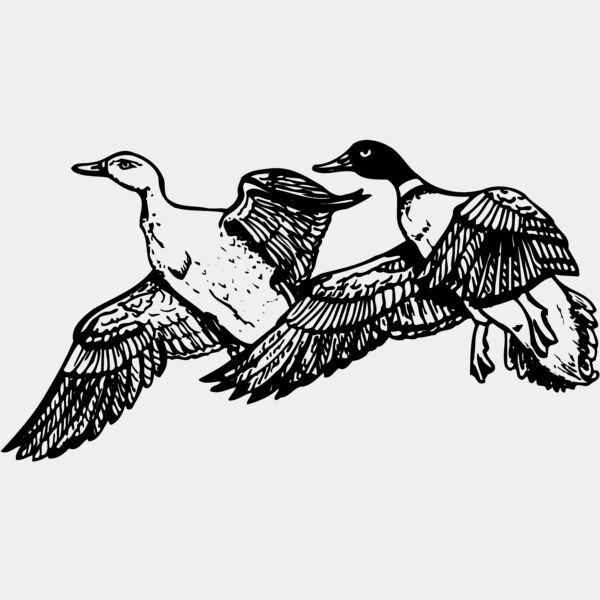 BIRD080 Thumbnail