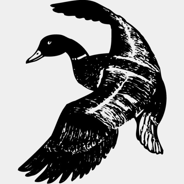 BIRD081 Thumbnail