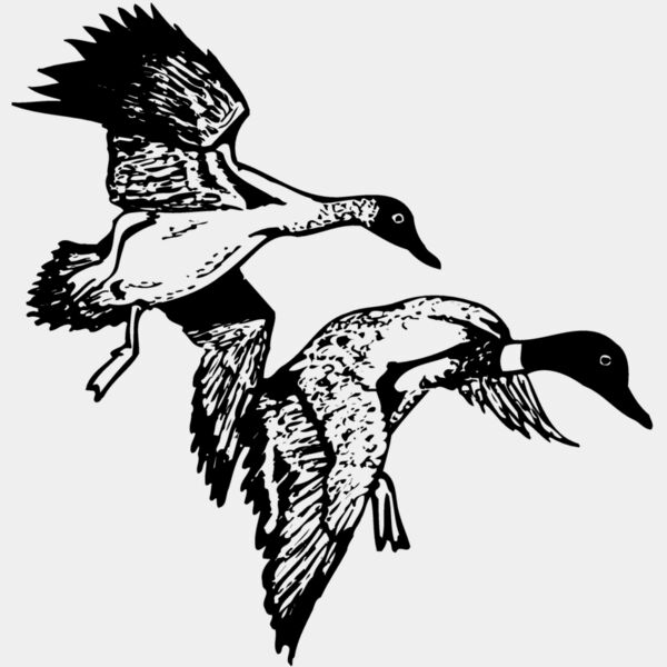 BIRD088 Thumbnail