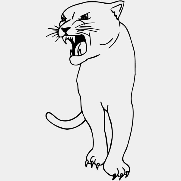 CAT18 Thumbnail
