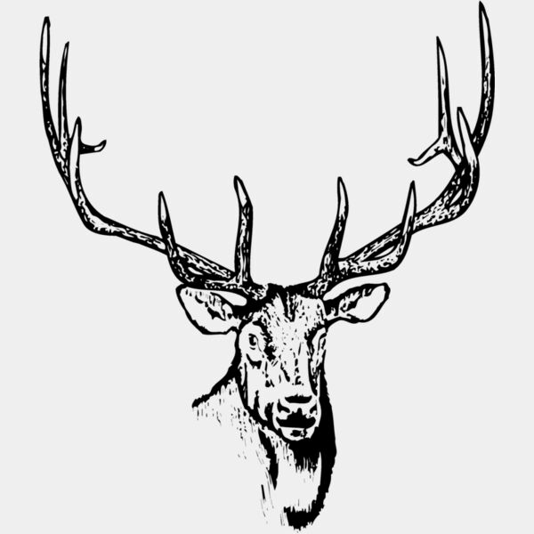 DEER015 Thumbnail