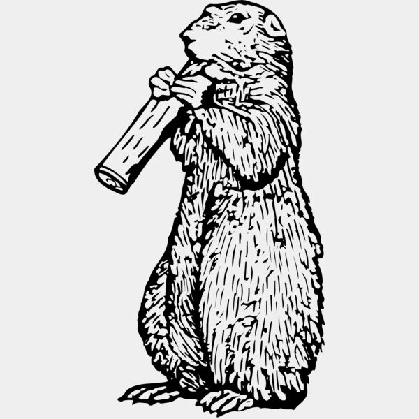 GOPHER02 Thumbnail