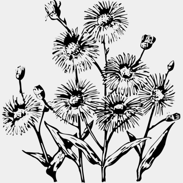 FLOWER22 Thumbnail