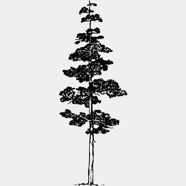 TREE0012 Thumbnail