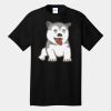 Tall Core Cotton Tee Thumbnail